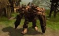 Gamebanshee 06/05/04